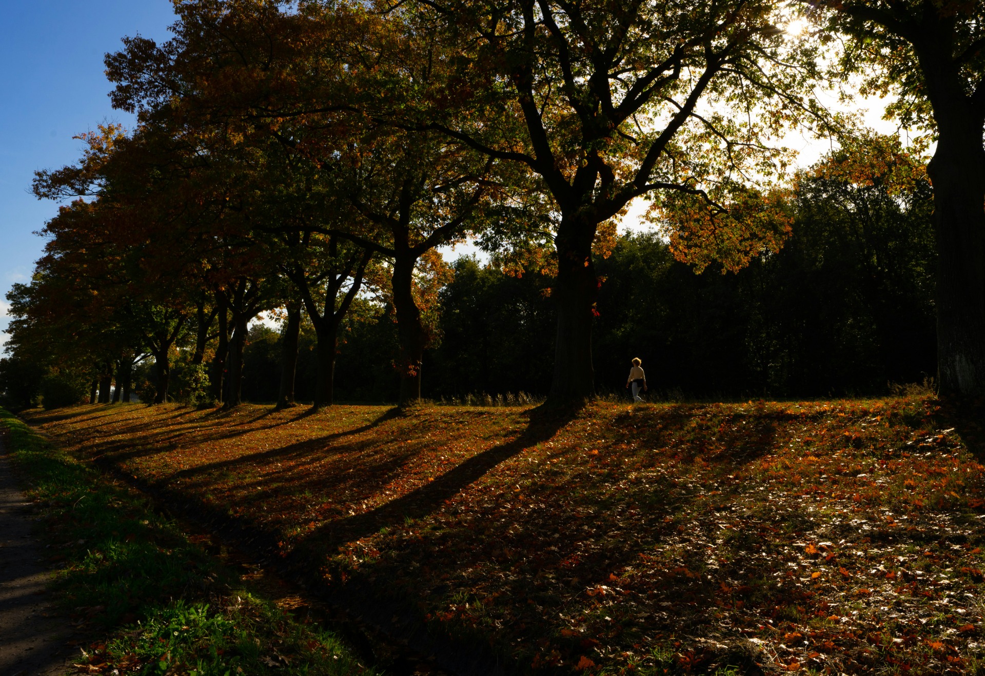 Photo by henri buenen on Unsplash